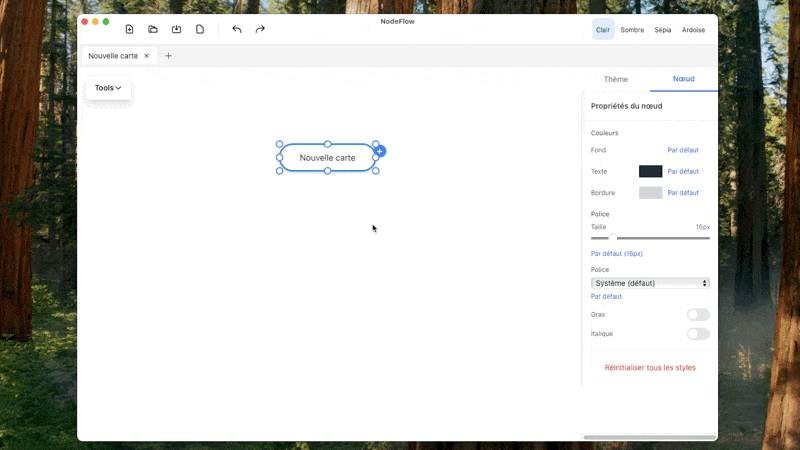 HippoMind Demo - Mind mapping in action